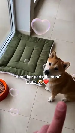 A comida do pitoco!
