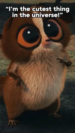 Cutest Thing