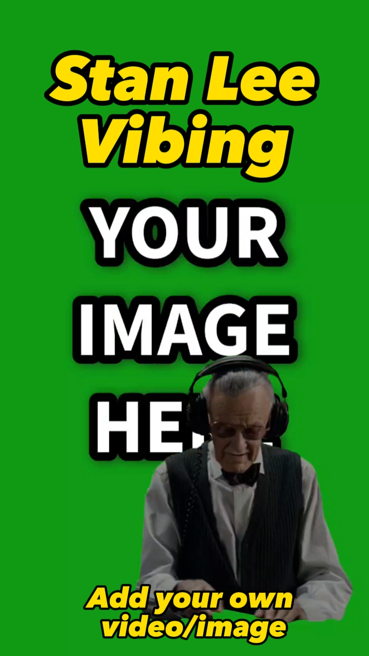 Stan Lee Vibing