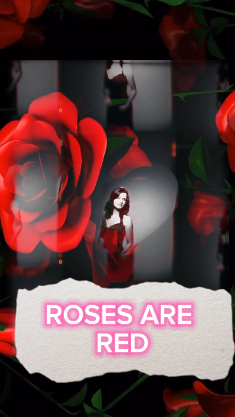 LAS ROSAS SON ROJAS