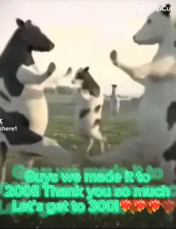 We made it to 300🥳🥳🥳