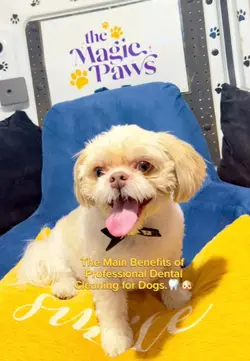 Benefits
