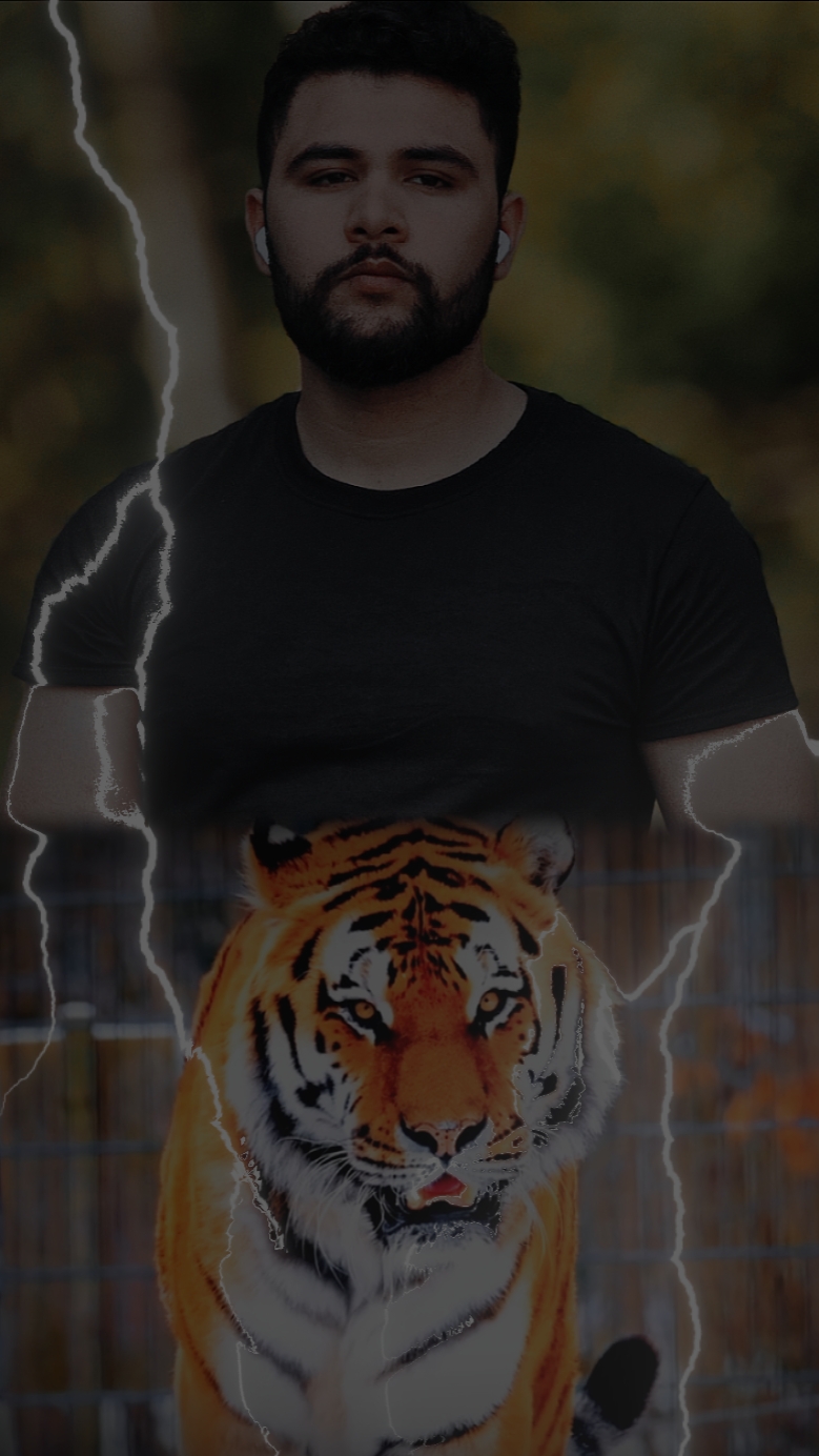 Tigre 