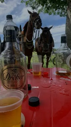 Canção de vaqueiro 🎶