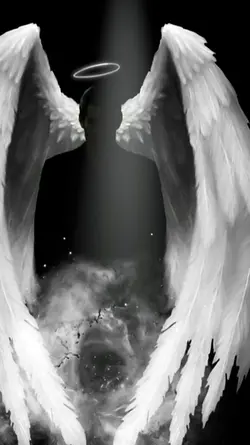Angel wings 1 photo