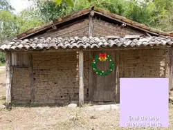 dona dalva