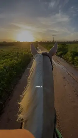 Reflexão