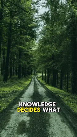 Knowledge and skill 