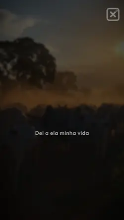 Andorinha machucada