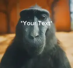 Monkey template