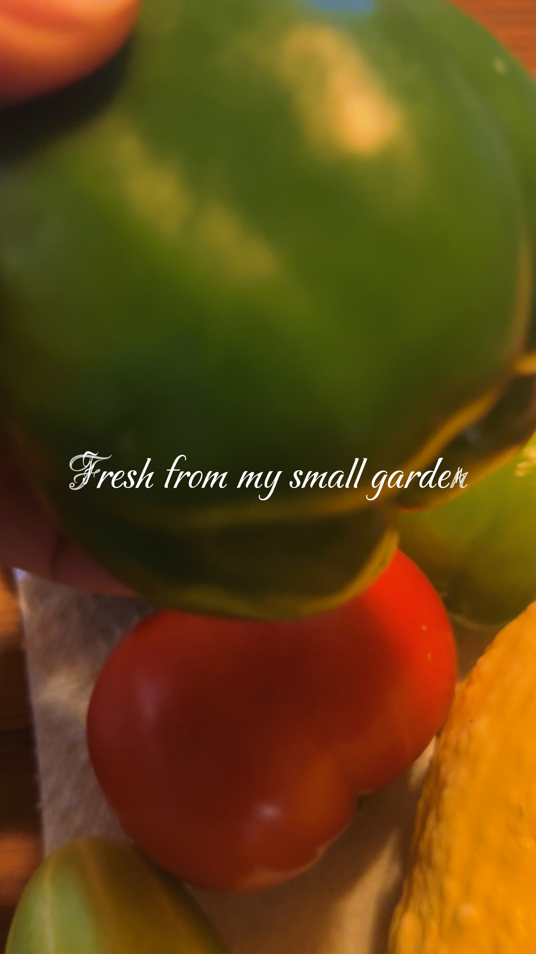 Fresh veggies