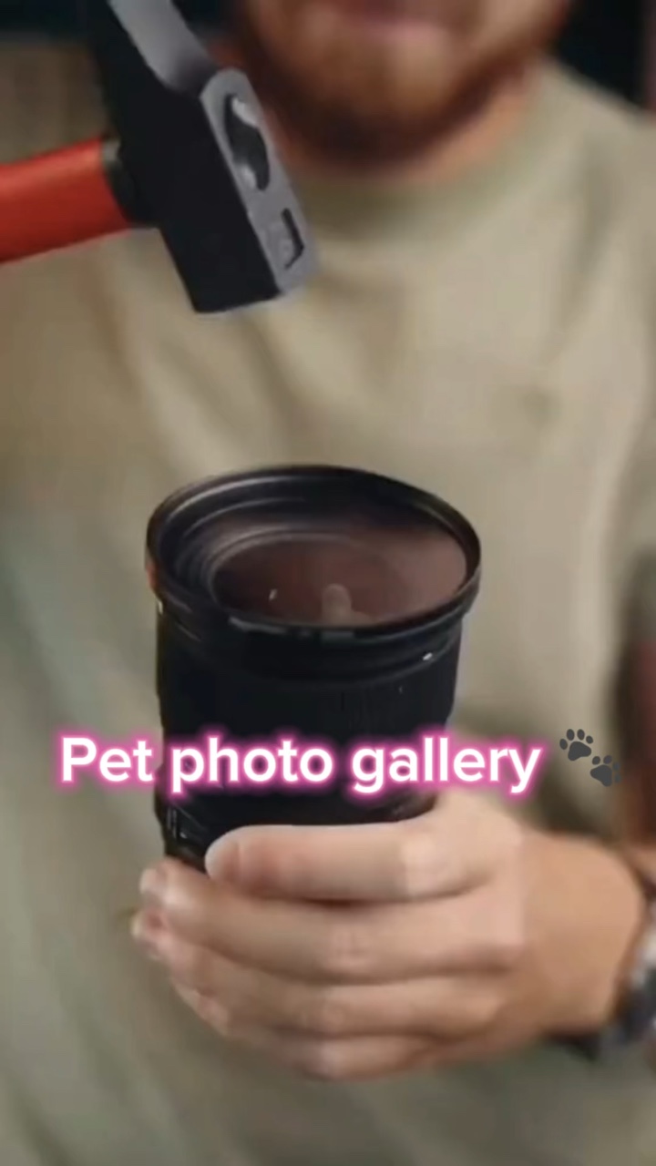 Haustier-Fotogalerie 🐾