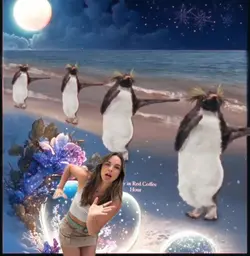 Penguin Dancing✨