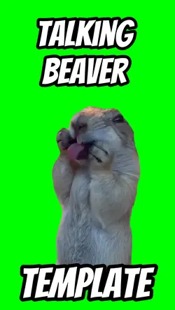 Talking beaver meme