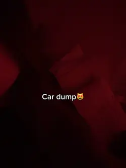 Car dump 😻