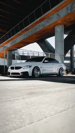 SUPER | TEMPLATE 💀