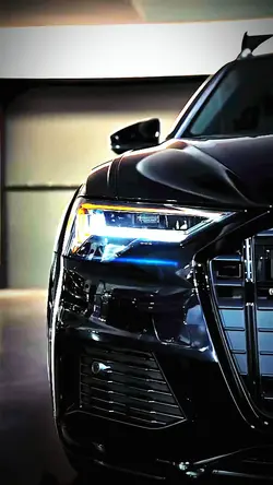 Transition/Transição