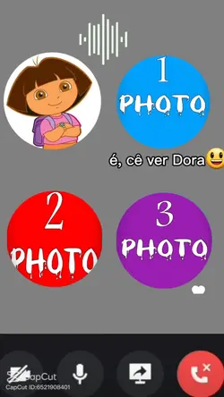 ligação de whatsapp