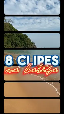 8 clips SINCRO