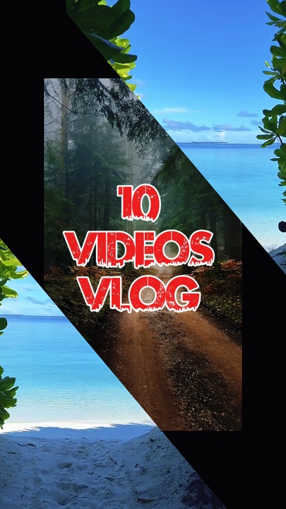 10 video or picture 