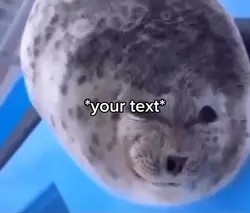 Happy seal