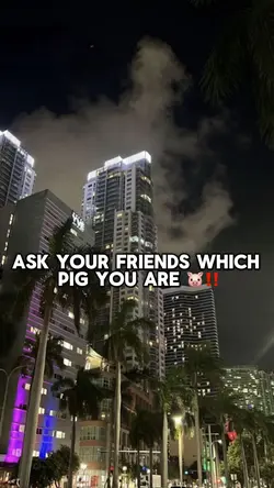 which pig r u??