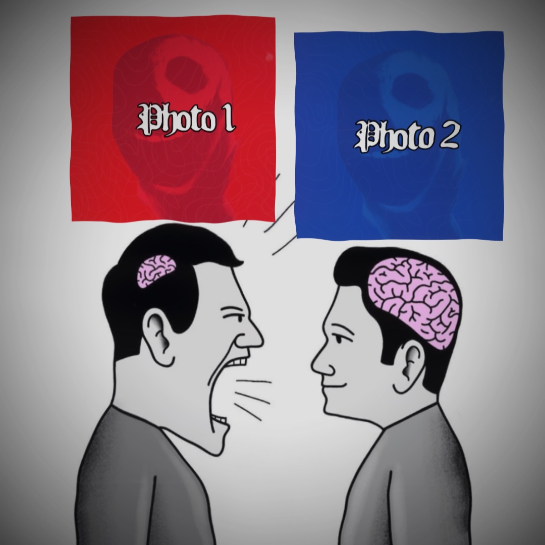 Cerebro pequeño vs grande