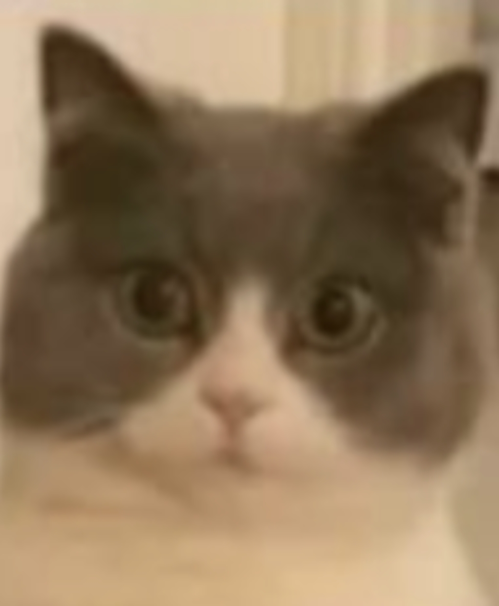 Broken vs. Pure Evil