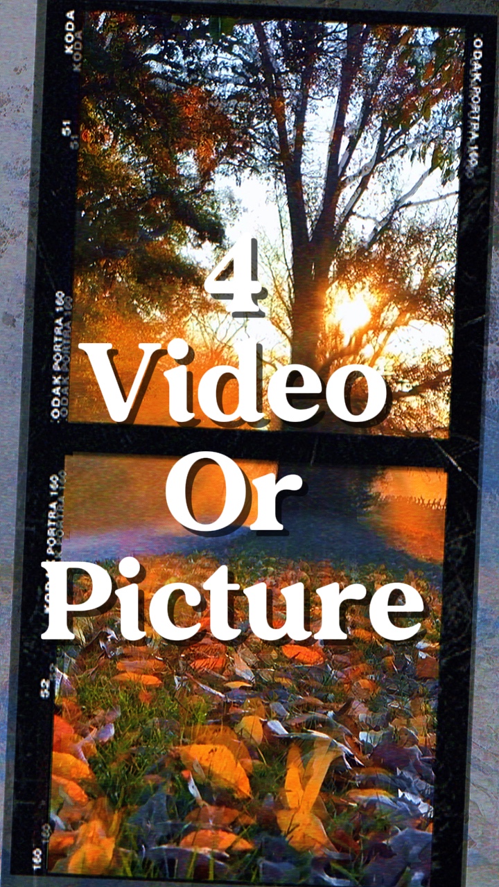 4 video or picture 