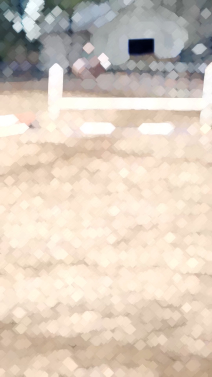 Why you so obsessed?