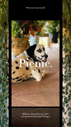 PICNIC