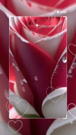 voy a regalarte rosa