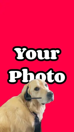 Rigatoni Meme