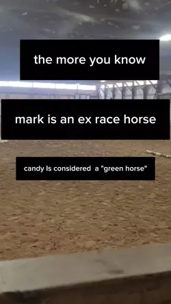 fun fact