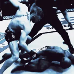 Ufc