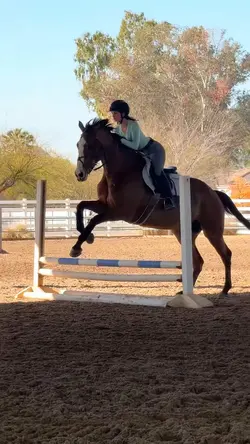 ⚠️NOT REAL‼️FAKE‼️