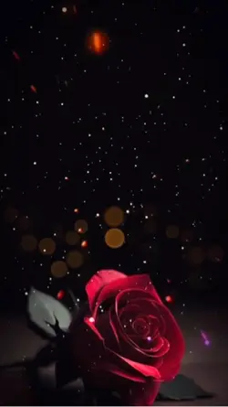 ♥️💔🥀🍷🥰♥️♥️