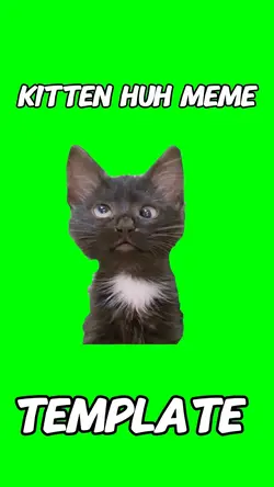 Kitten Huh Meme