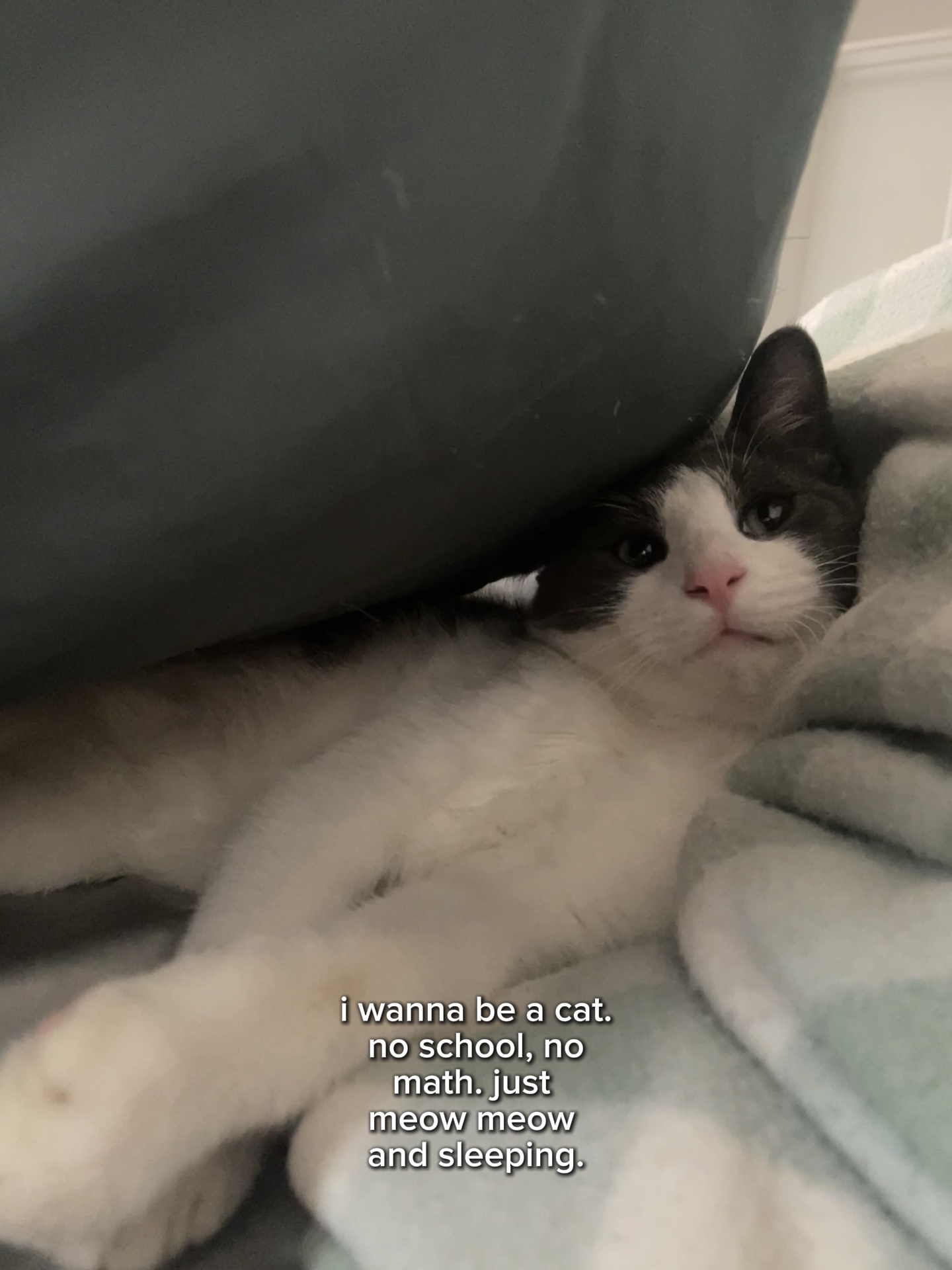mon bébé