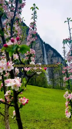Meu Hospital