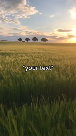 Calm field