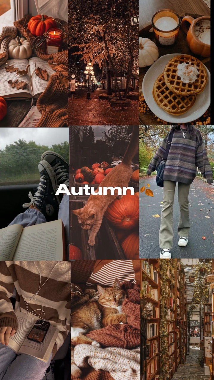 Autumn 🍂 