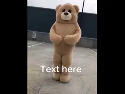 Dancing bear