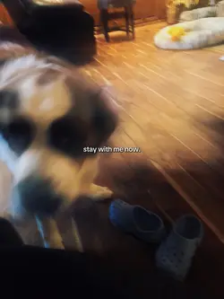 amen 🙂‍↕️🙏🏼