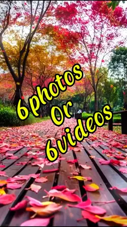 6photos/videos