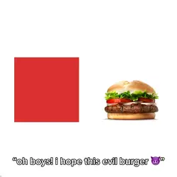 funky burger