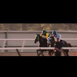 Secretariat edit