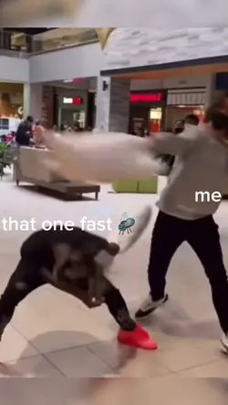 that 1 fast fly