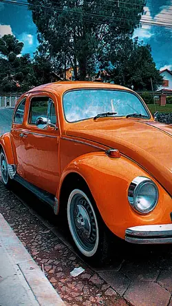 Carros antigos 