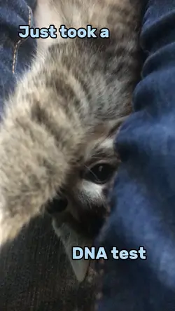 %100 just a baby 👶🍼